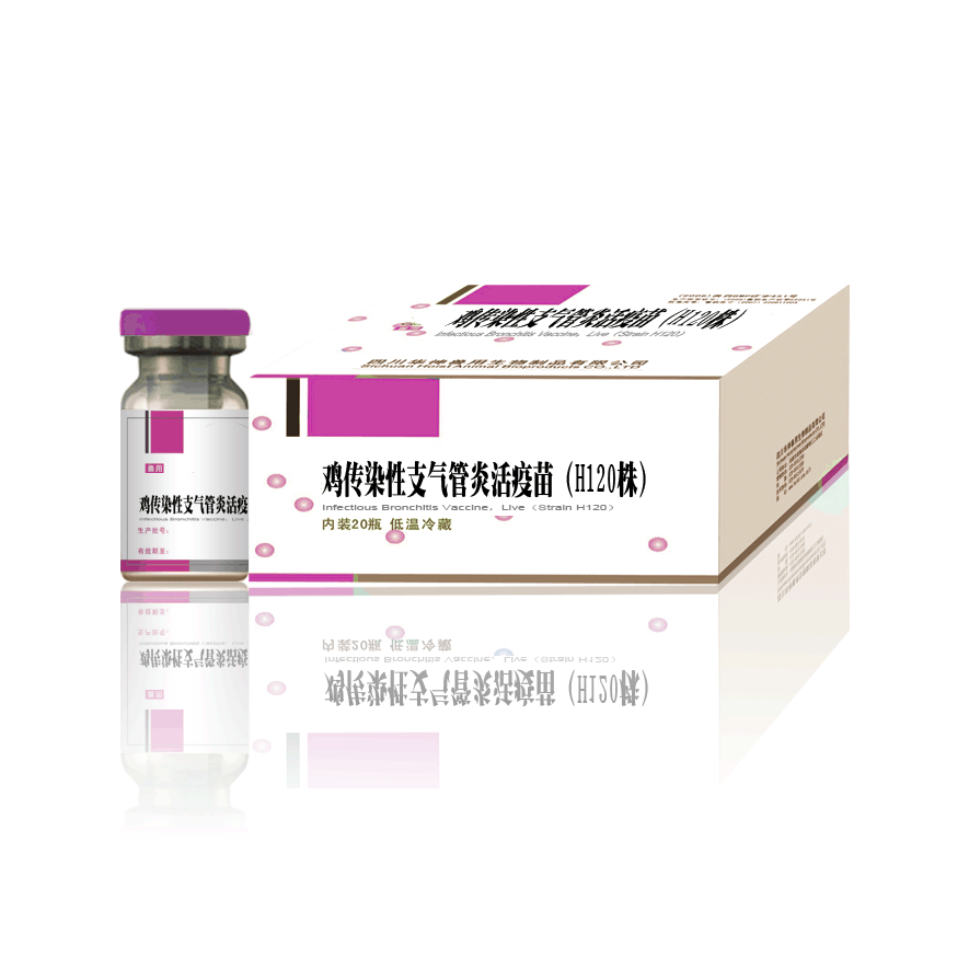 雞傳染性支氣管炎活疫苗(H120株).gif 雞傳染性支氣管炎活疫苗(H120株).gif