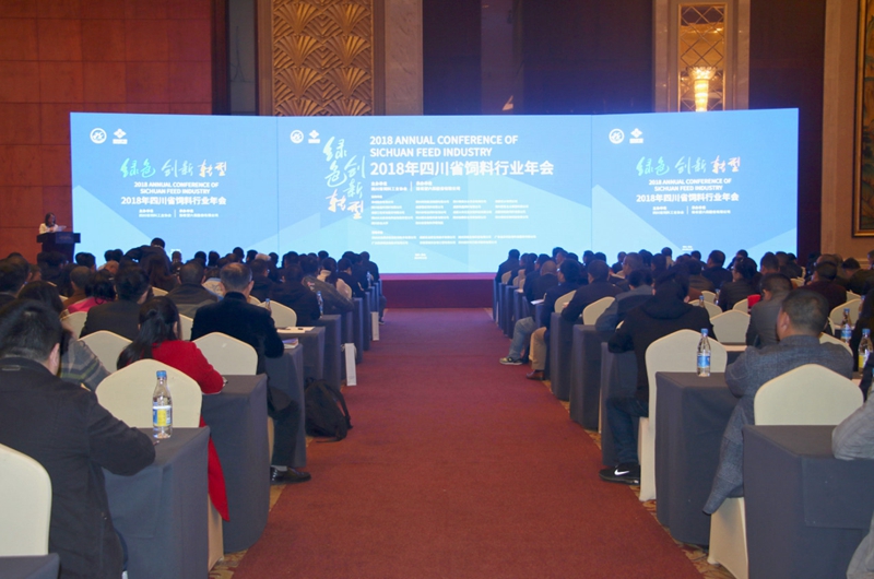 news01.jpg news01.jpg