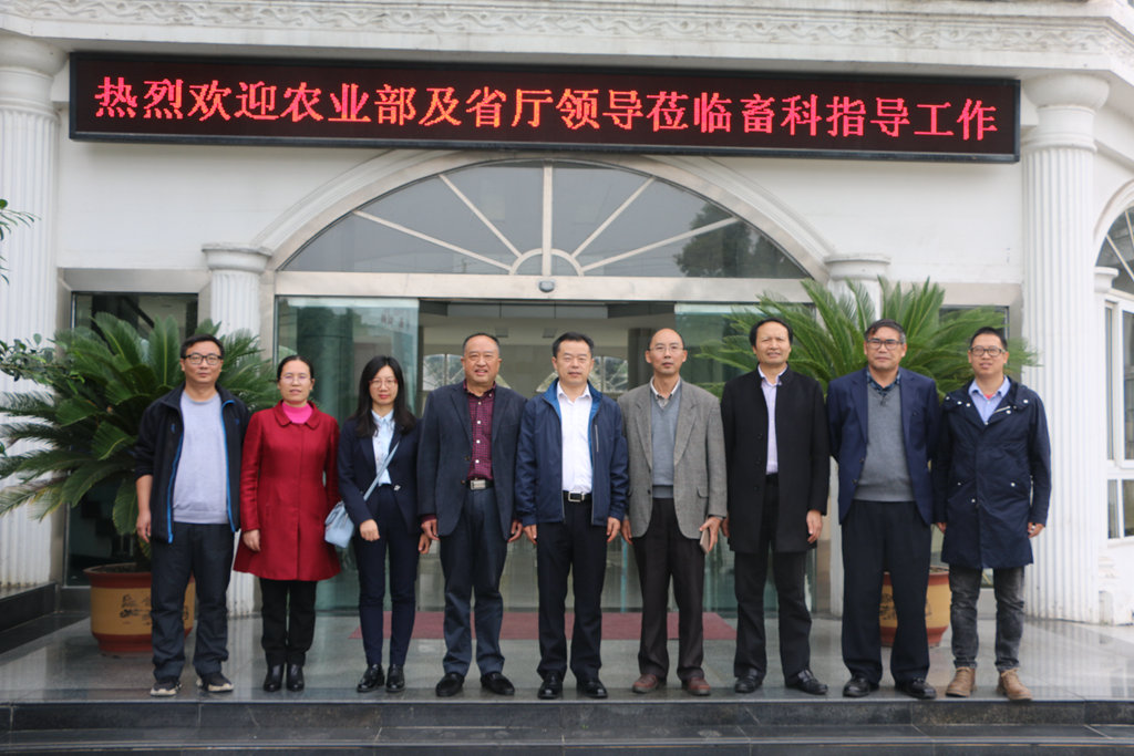 news01.jpg news01.jpg